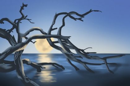 观音灵签解签 观音灵签第1签详解 观音灵签解签 观音灵签第1签详解