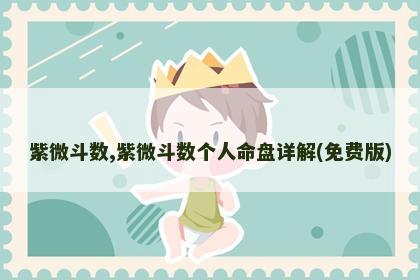 紫微斗数,紫微斗数个人命盘详解(免费版) 紫微斗数,紫微斗数个人命盘详解(免费版)