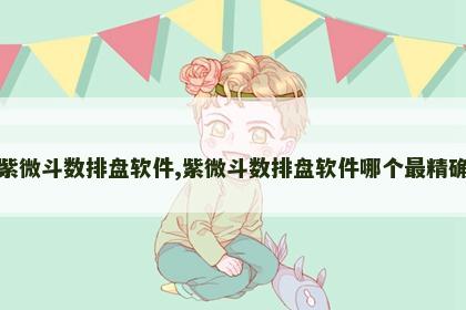 紫微斗数排盘软件,紫微斗数排盘软件哪个最精确 紫微斗数排盘软件,紫微斗数排盘软件哪个最精确