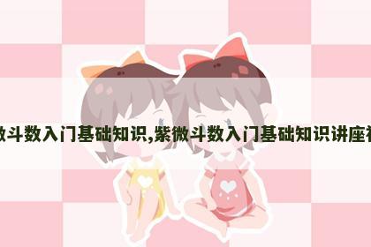 紫微斗数入门基础知识,紫微斗数入门基础知识讲座视频 紫微斗数入门基础知识,紫微斗数入门基础知识讲座视频