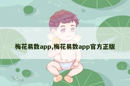 梅花易数app,梅花易数app官方正版 梅花易数app,梅花易数app官方正版