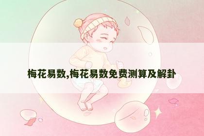 梅花易数,梅花易数免费测算及解卦 梅花易数,梅花易数免费测算及解卦
